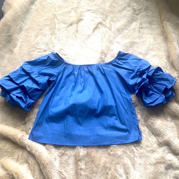Zara off shoulder blue stipe ruffle sleeve Top (L) - Picture 2 of 7